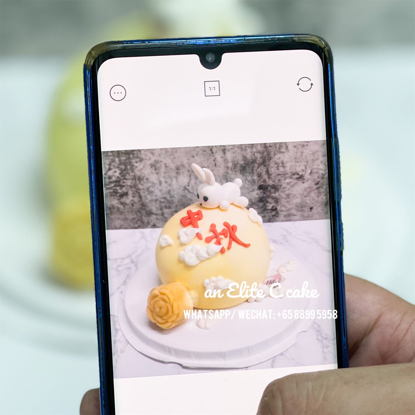 Festival Cake: Moon Shaped Cake (Not a mooncake)