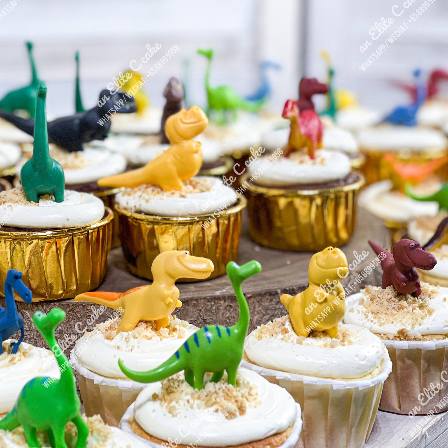 Dinosaur (Design #2)