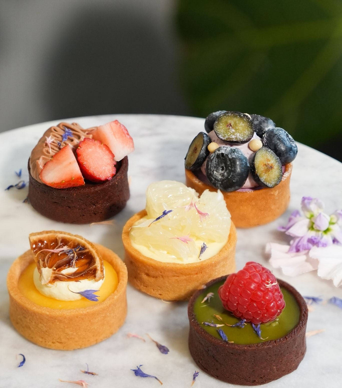 Premium Fresh Fruit Tartlets
